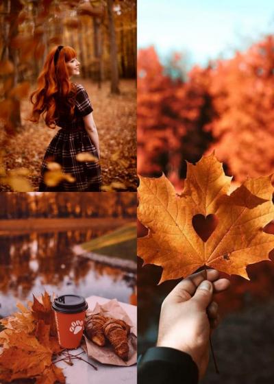 photocollage_1762615371164_0.jpg
