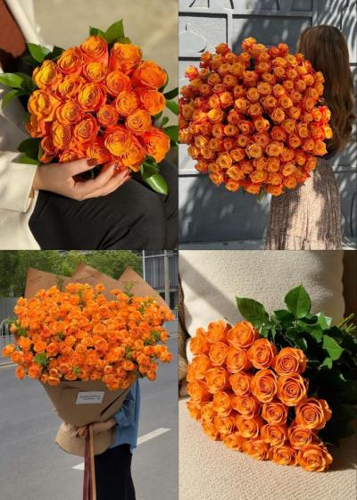 photocollage_1778969276052_0.jpg