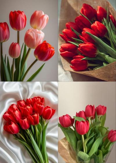 photocollage_1783014471870_0.jpg